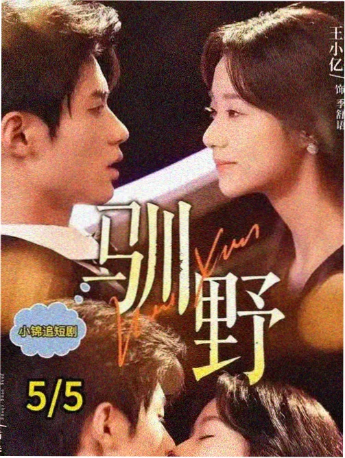 孔刘 演员档案